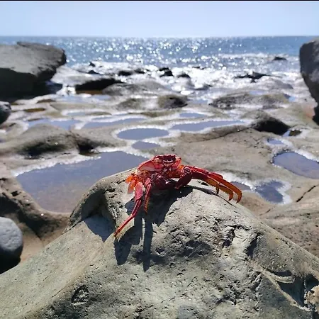 Ferienhaus Brisita *