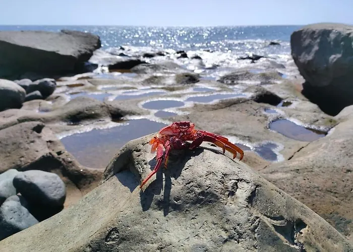 Dom wakacyjny Brisita *